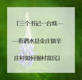 三个书记一台戏——看泗水县金庄镇辛庄村如何强村富民
